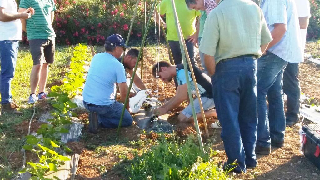 Clase práctica y clausura del curso de Agricultura Ecológica. Presente y futuro de la agricultura local.