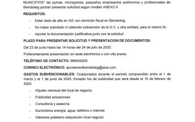 Ayudas con destino a minimizar el impacto económico que el Covid-19 para pymes, micropymes, pequeños empresarios, etc.. de Benidoleig (Diputación Provincial de Alicante)